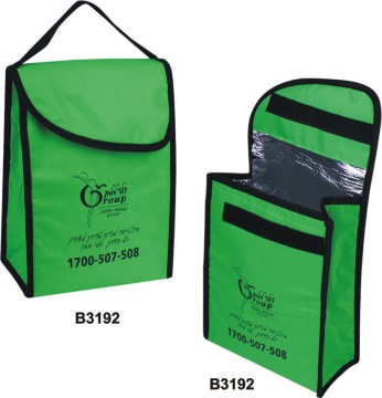 Cool bag for frozen food