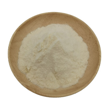 OEM fruit powder kosher Tahitian Lime juice powder