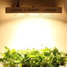 Supply Citizen led cob grow light, led growing lights , best sell led grow lights
