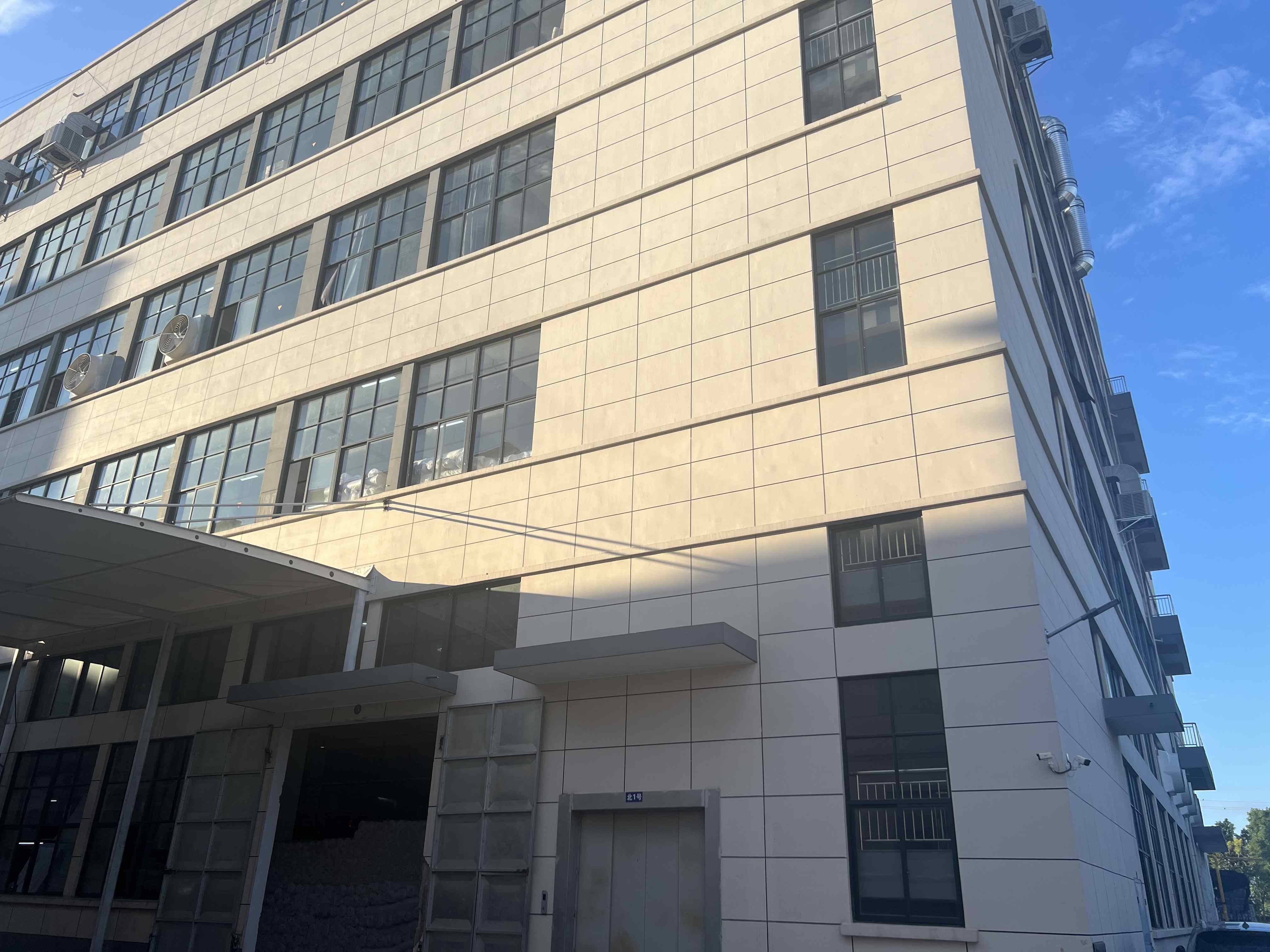 Poze de companie Company pictures