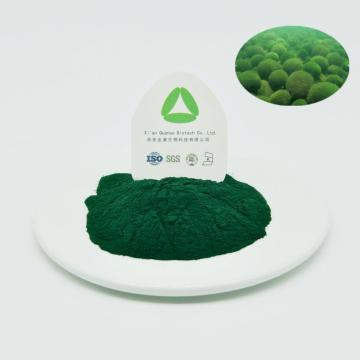 Suplementos nutricionales naturales en polvo de extracto de chlorella