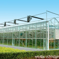 Venlo Glass Greenhouse pour légumes ou fleurs