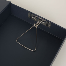 Archive box for protecting files