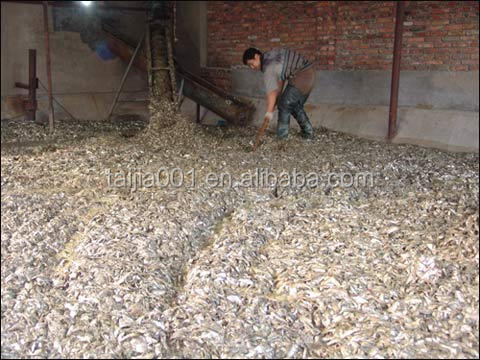 supply fish meal feed grade