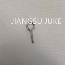 Stainless Steel Lag Eye Bolt