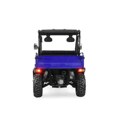 Elektro -Auto/Mini/Batterie UTV mit EEC -Zertifikat