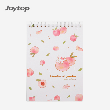 Wholesale Cute Peach Paradise A3 Spiral Kids Sketchbook
