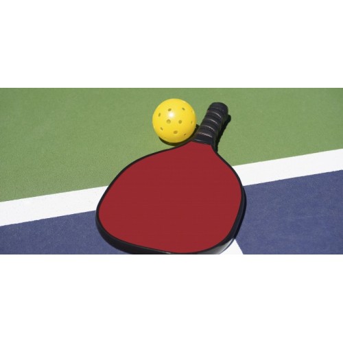 New Design Popular Custom Pickleball Paddle