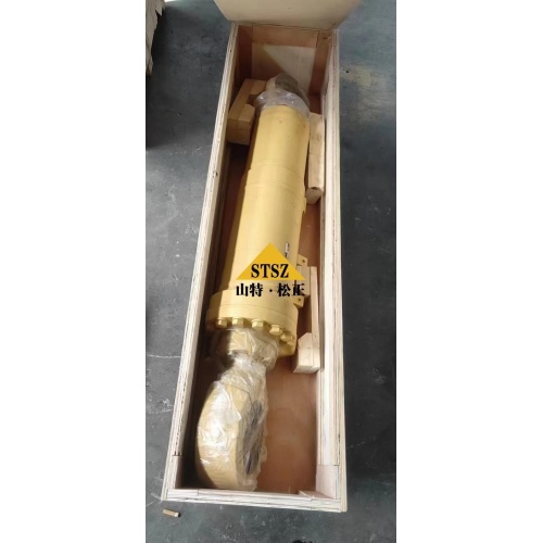 D31-20 Hydrocylinder 11G-63-02051