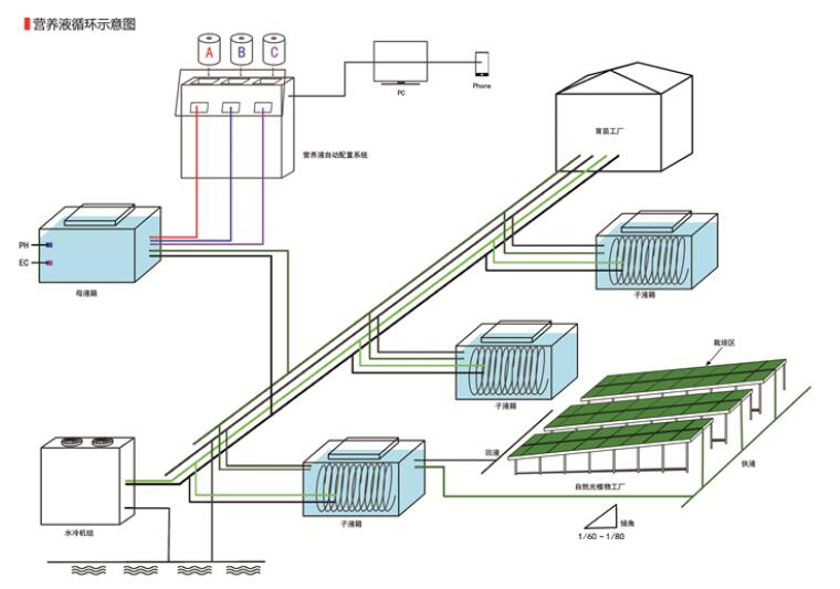 Soilless Culture Natrual Light Agriculture Plant Factory Rebe1