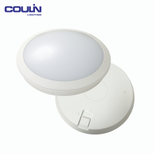 Competitive Price Celling Led Light