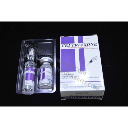 Ceftriaxone for injection 1g+10ml WFI