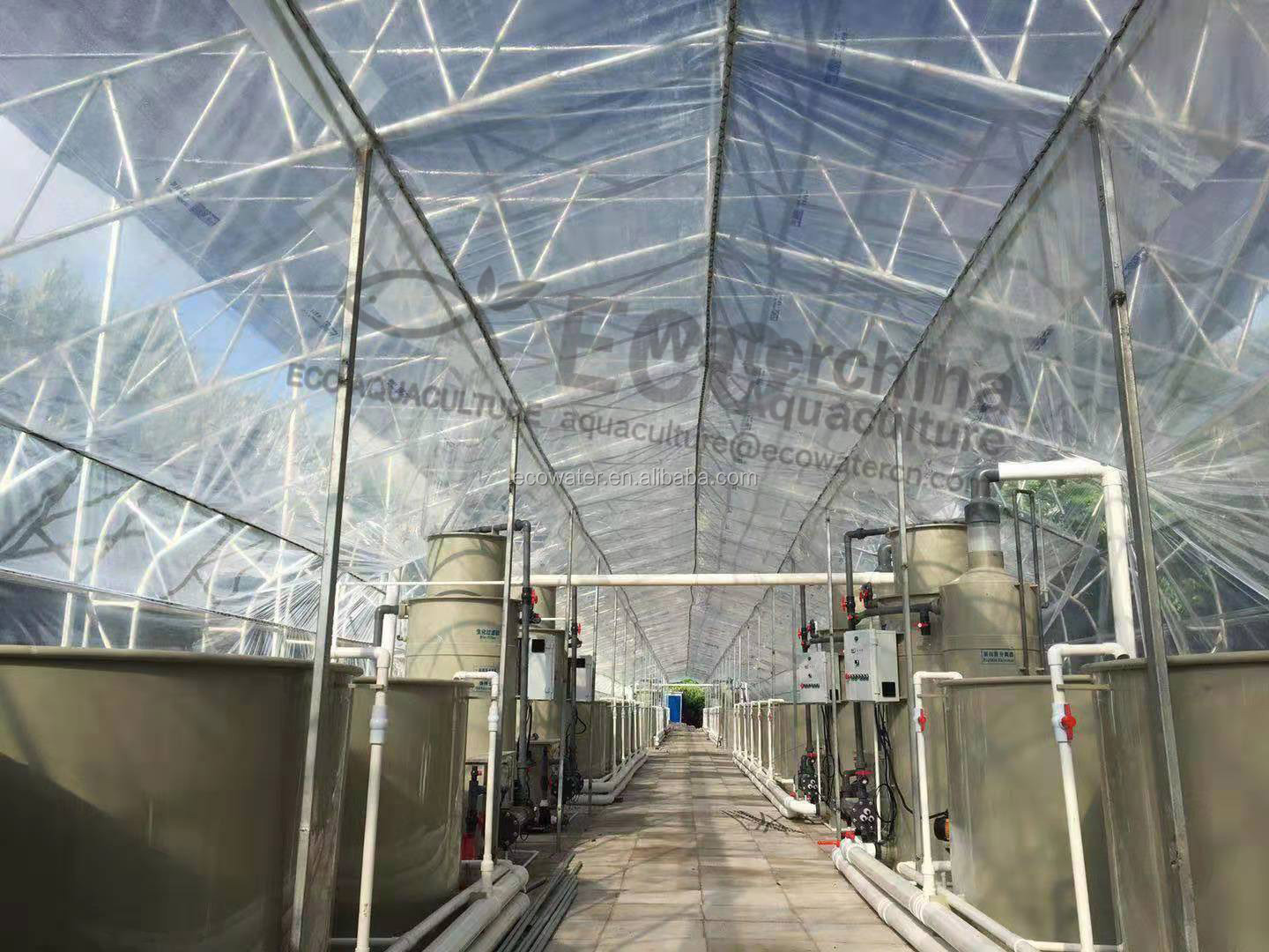 工厂供应大型 pp 塑料鱼缸农场循环水产养殖系统 pp 鱼缸用于 ras