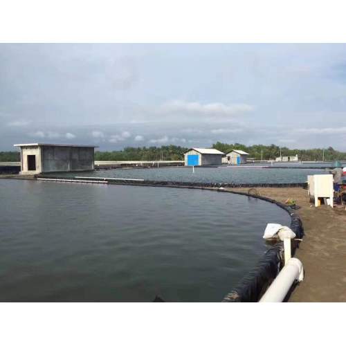 1 мм 2 мм водонепроницаемый HDPE/LDPE/LLDPE Geomembrane