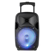 Speaker on trolley box