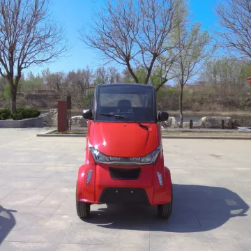 100km Mileage CKD Parts Electric Car with Air Conditioner