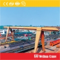 Gantry Crane With Cantilever