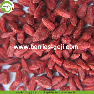 Baies de Goji authentiques à faible teneur en sucre