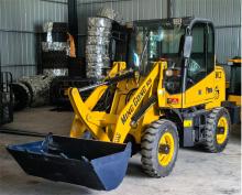 Rational Construction Loader: Big Bucket Diesel Speed Loader - Excellent Quality