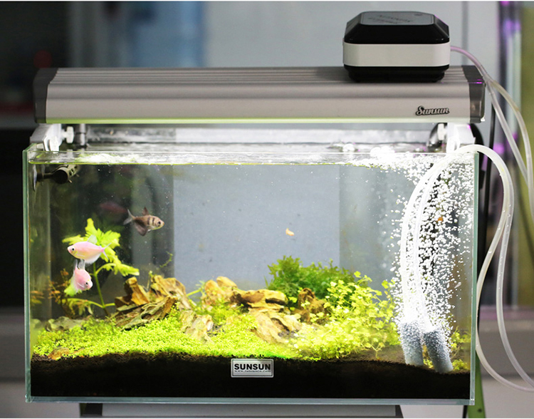 مضخة هواء صغيرة الحجم تعمل بالتيار المستمر من Sunsun Electric Aquarium Mini Dc