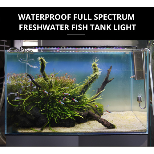 Full Spectrum Aquarium Fish Tank Lamp