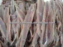 Frozen Salted Anchovy (anchoa salada)