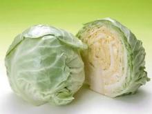 Green Cabbage