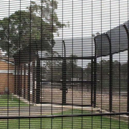 Galvanized 358 High Security Fence with Low Price