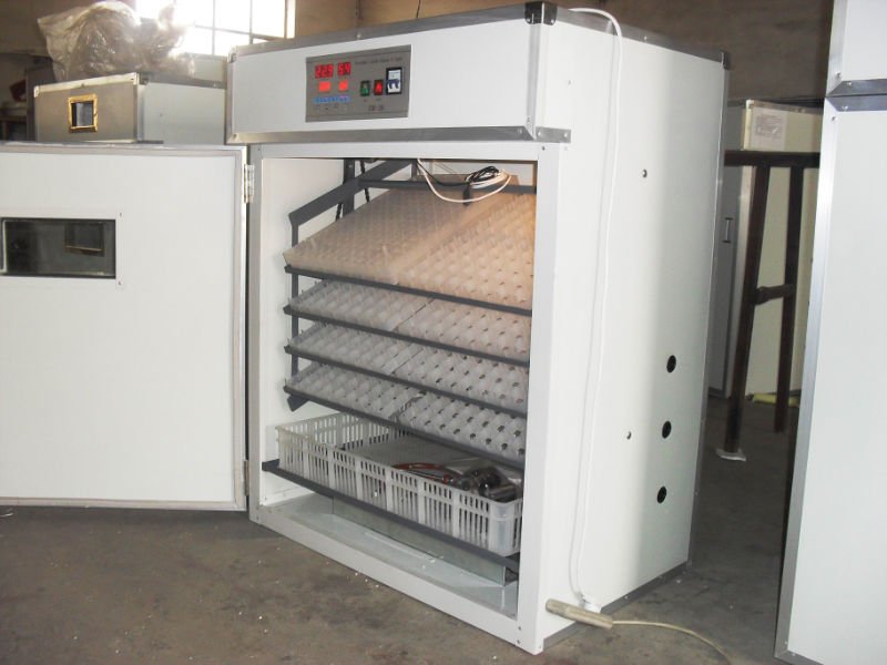 5280 eggs incubator for chicken