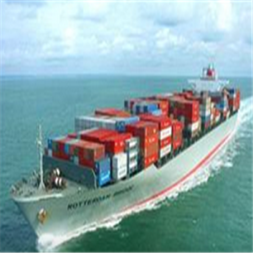 Shantou Special Sea Freight Rate for Paramaribo