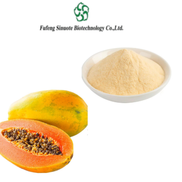 Premium Papain Fruit Powder Enhances Flavor and Function