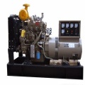 60kva Ricardo Diesel Generator instellen