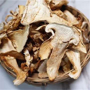 Dried Chinese Catathelasma Mushroom