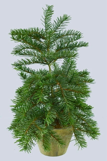 PE Nordmann Fir Tree Artificial Plant for Christmas Decoration (43375)