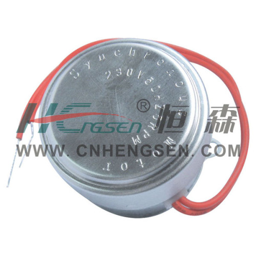 Micro Motor/Unidirectional Hysteretic Synchronous Motor AC24V, AC110V, AC230V, 5rpm or 4rpm Used in Zone Valve, Motorised Valve, Motorized Valve