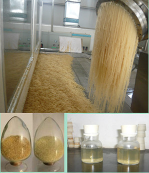 Gelatin for Technical