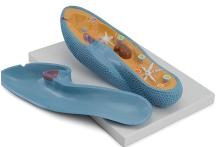 Paramecium model 1800 times larger