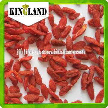 China dried goji berry more