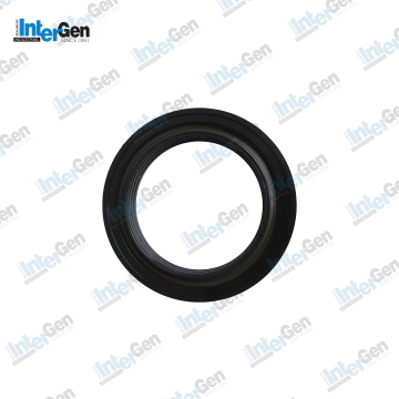 IVE 4890832 Crankshaft Oil Seal