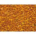 Bulk Bee Pollen Tea Pollen Granules