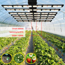 Luz de cultivo de plantas LED de cultivador de invernadero grande