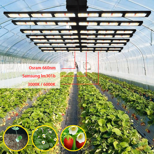 600W Medical Indoor LED Grow Light