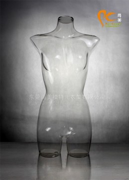 clear plastic female torso mannequins
