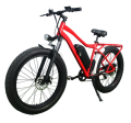 Extender-Kies-Kohlefaser-elektrisches Fahrrad
