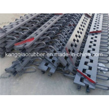 Hot Sale Bridge Expansion Joint Made in China
