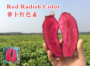 Red radish color
