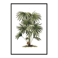 Plant wall art frame