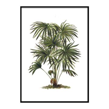 Plant wall art frame