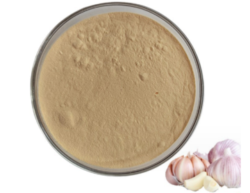 garlic extract allicin allicin garlic extract