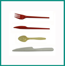 Plastic Disposable Tableware Mould (xdd114)